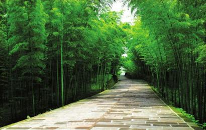 第二届中国(四川)国际旅游投资大会首届川南(宜宾)分会8月6日在宜宾开幕