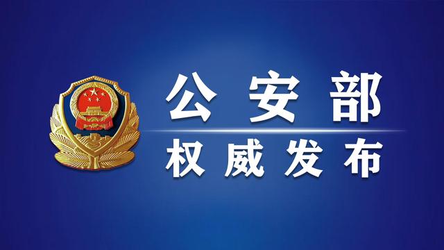 <strong>全国公安机关有效服务保障民营经济发展</strong>