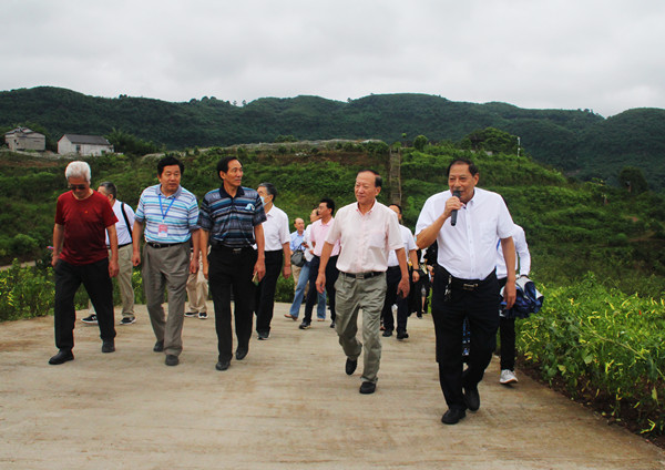 中国老教授（专家）乡村振兴康养文旅示范基地纳溪故里情源揭牌