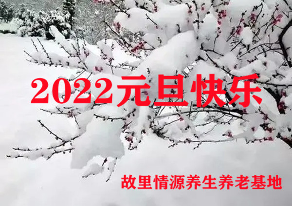 四川纳溪故里情源养生养老基地元旦贺词(图1)