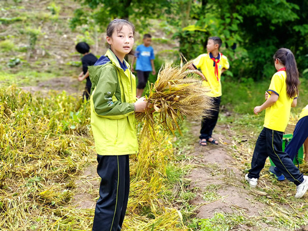 手握麦苗的同学.jpg