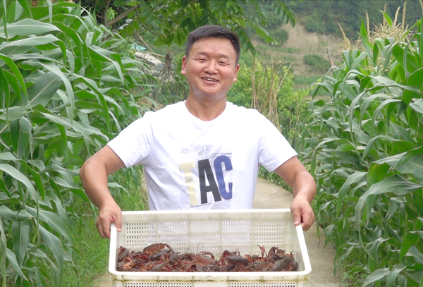 泸州古蔺：品尝垂钓两不误 高山活水小龙虾受欢迎