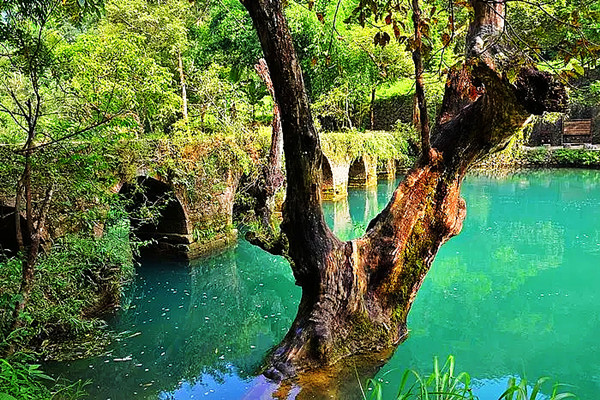 src=http___dimg02.c-ctrip.com_images_tg_931_895_912_11c0bd4a7cee4470ae2331c2e0bac892_C_1024_10000.jpg&refer=http___dimg02.c-ctrip.webp.jpg