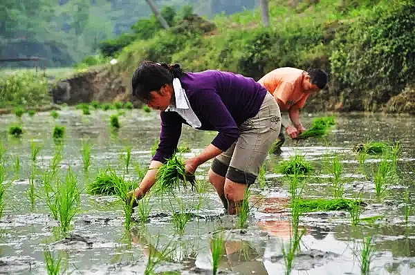 src=http___photocdn.sohu.com_20150509_mp14327378_1431150039979_8.jpeg&refer=http___photocdn.sohu.webp.jpg