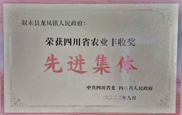 叙永县龙凤镇荣获四川省委省政府 2022年农业丰收奖