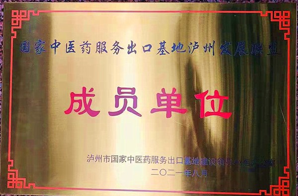 齐聚一堂共促发展 国家中医药服务出口基地泸州发展联盟昨成立(图12)