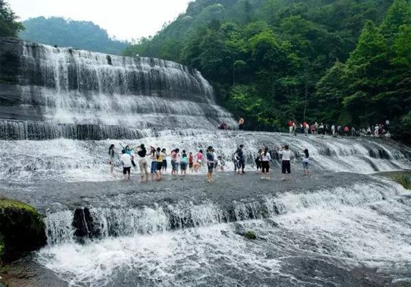 罗晓：世外之梦——黄荆老林(图5)