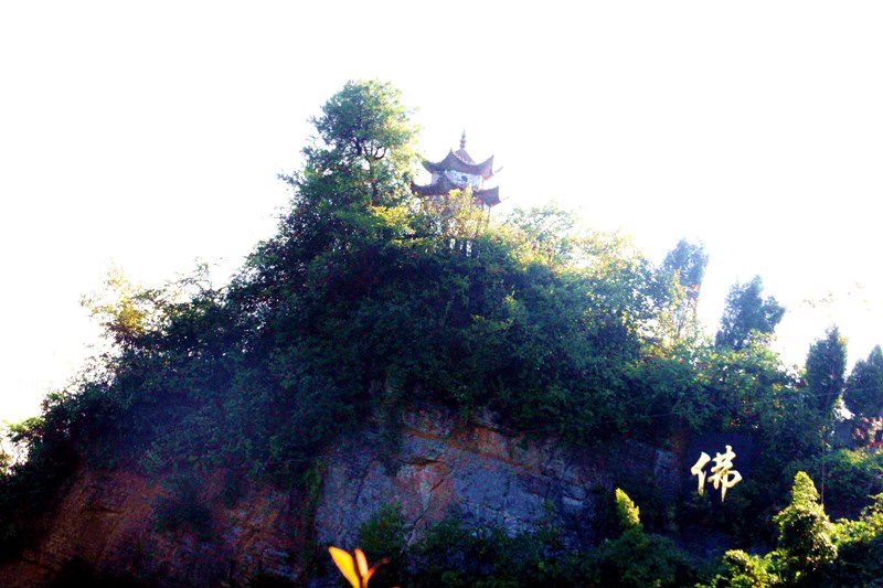 古蔺丹桂镇 风景这边看过来(图9)