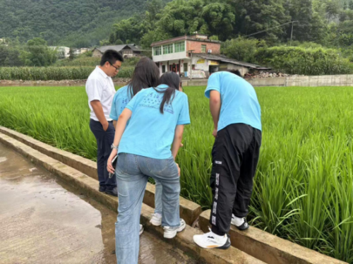 宜宾水稻产业三位一体实践研究团队实地调研 聚焦水资源与水稻产业发展(图2) 微信图片_20250911153744_1517_12_副本.png