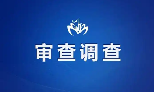 龙马兴达小额贷款公司原党支部书记、董事长唐昌宜被查 曾被评为