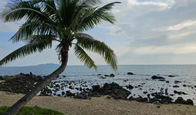 海南封关，远比你想象的重要