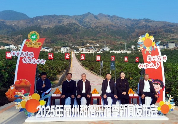 蔺州甜橙采摘季为期三天 马蹄镇以 “三色” 赋能产业振兴