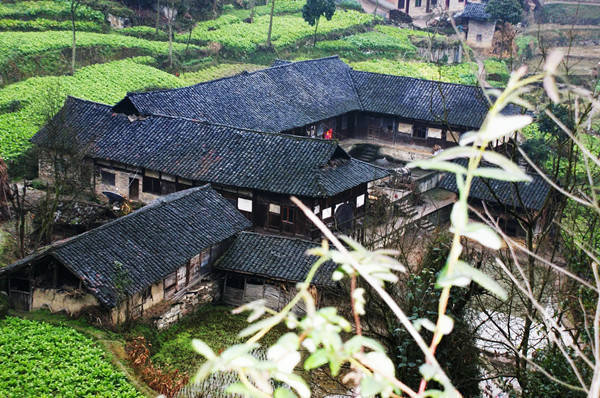 古蔺龙厂沟记(图1) 67e08df94e264a589143775a320f5d3f.jpeg