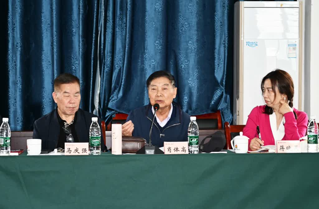 扎根酒城沃土 创作多元向好——泸州市作协小说创作暨邵忠奇《满叔和他的矿山》作品研讨会侧记(图4)