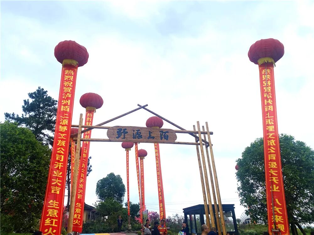 泸州文旅新地标！投资1500万，一站式田园度假新玩法！四季花海、亲子娱乐、露营烧