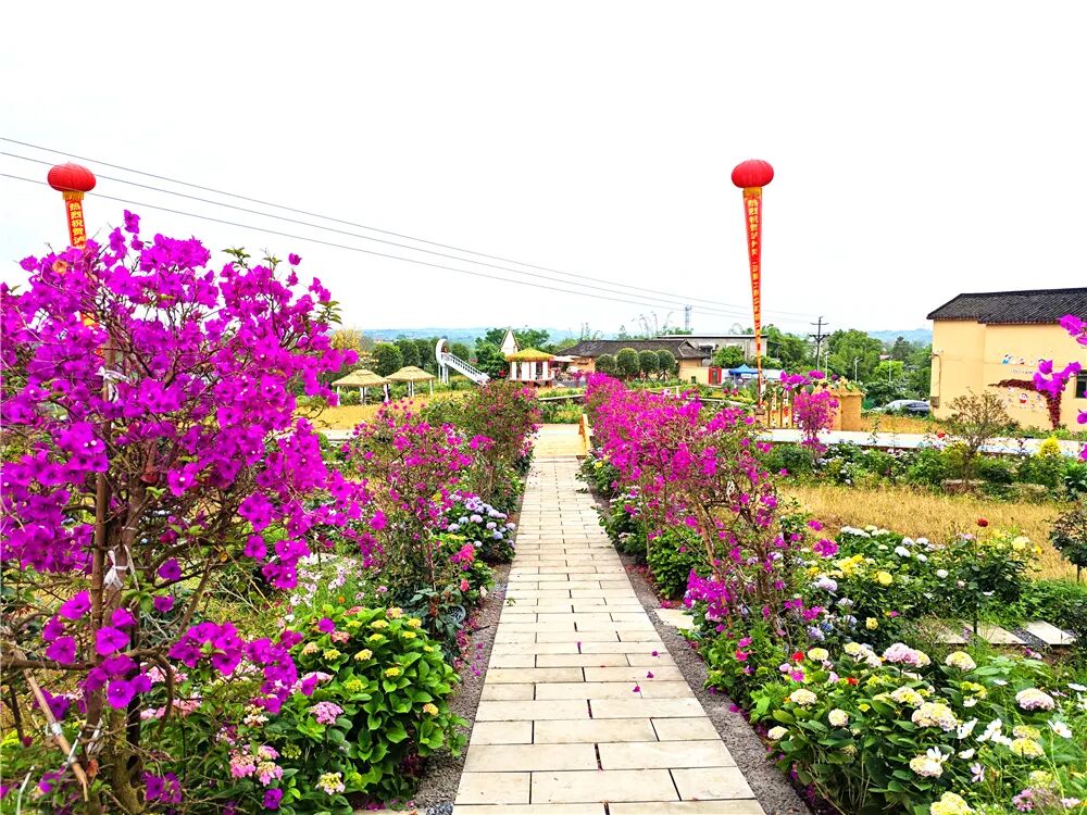 泸州文旅新地标!投资1500万,一站式田园度假新玩法!四季花海、亲子娱乐、露营烧烤…(图8) 泸州文旅新地标!投资1500万,一站式田园度假新玩法!四季花海、亲子娱乐、露营烧烤…(图8)
