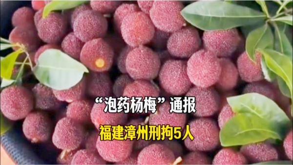 漳州泡药梅案尘埃落定 舆论破局击碎监管“装睡式履职”