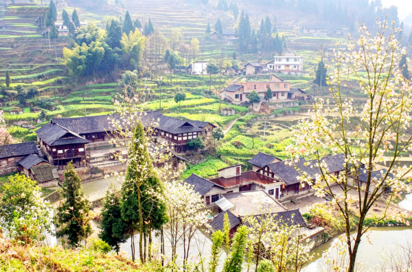 以民间之力建乡土博物馆 留住消逝的乡村记忆
