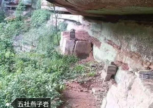合江:农文旅赋能民生 民心急盼实事落地(图4) 图片1.png555.jpg