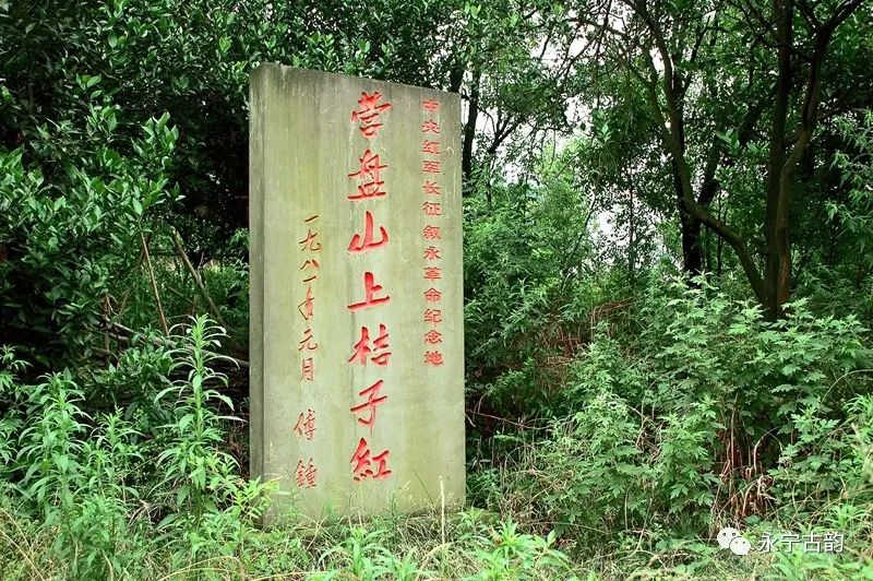 余远忠:中央红军长征在叙永【组诗】(图2) 图片