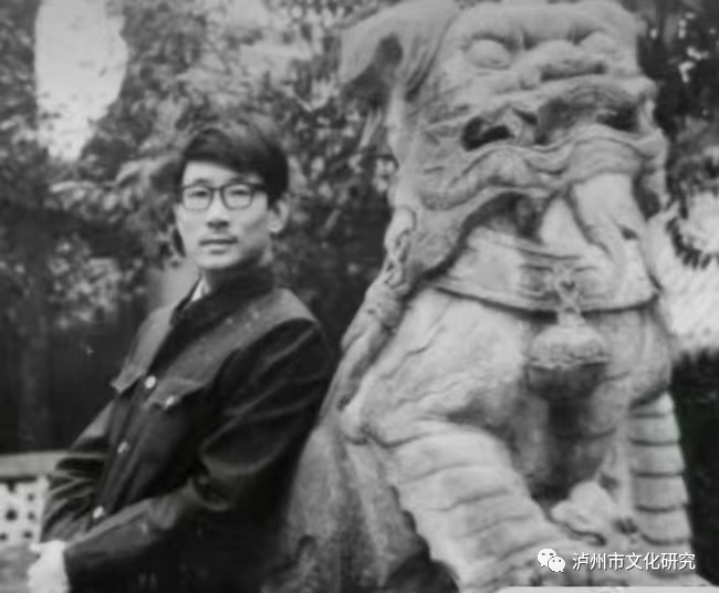 好大一棵《龙眼树》 一代泸州人的文化记忆(图4) 图片
