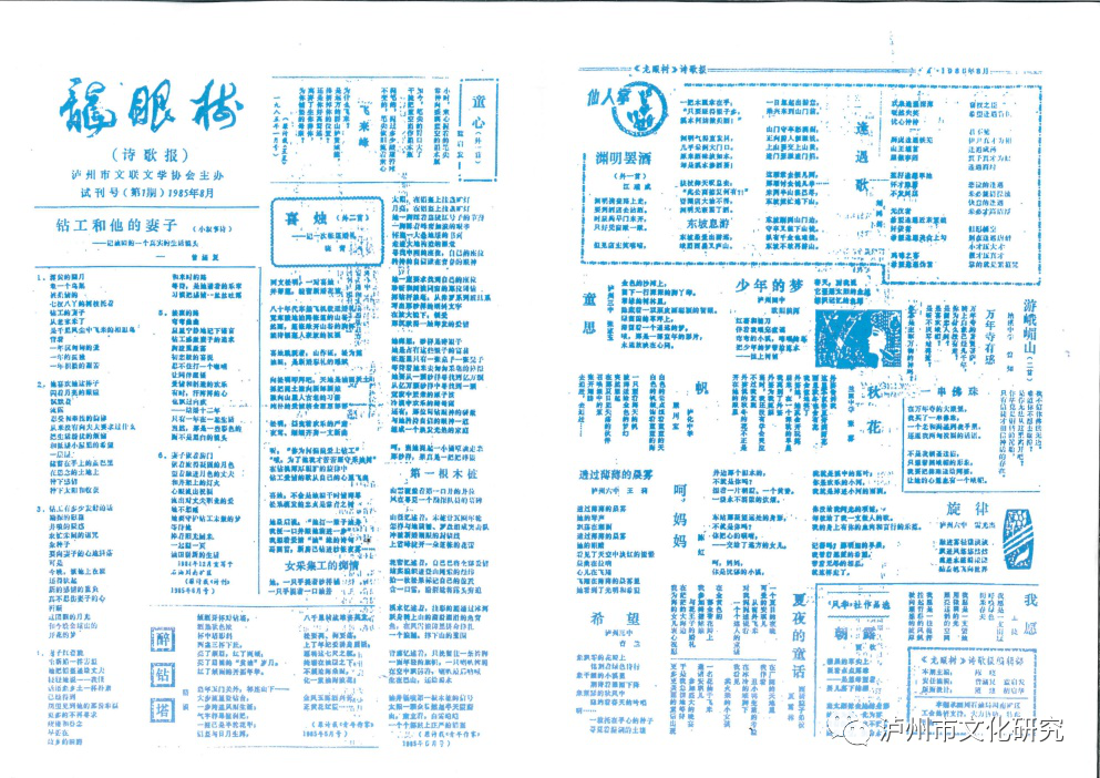 好大一棵《龙眼树》 一代泸州人的文化记忆(图7) 图片