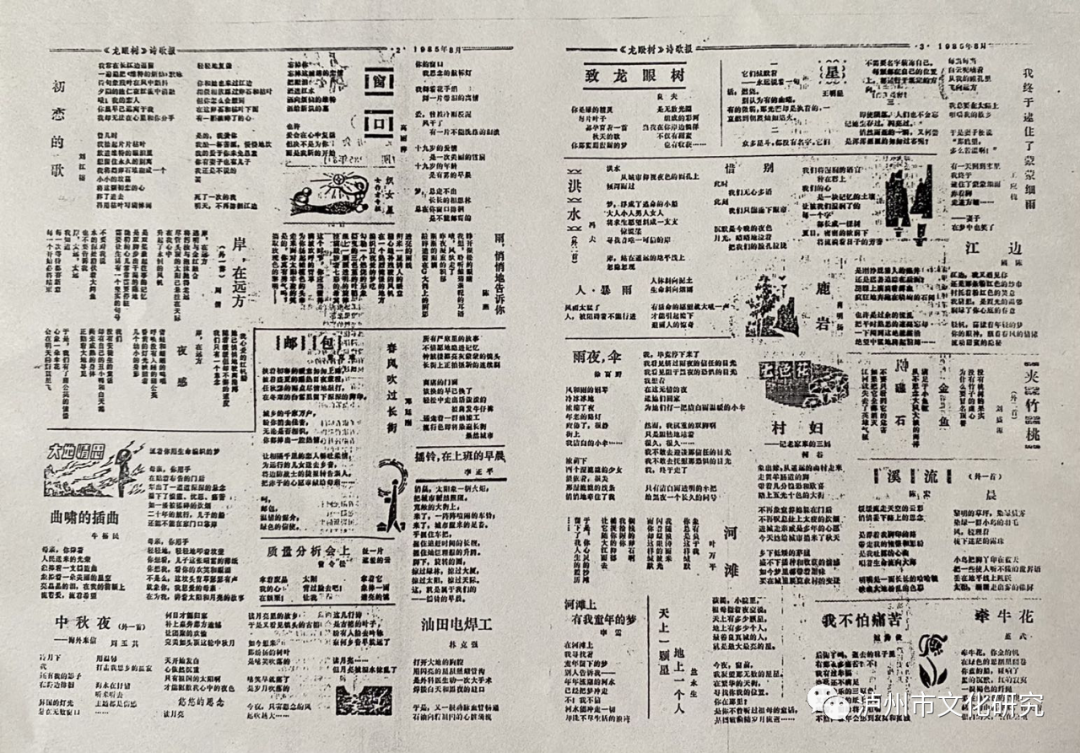 好大一棵《龙眼树》 一代泸州人的文化记忆(图8) 图片