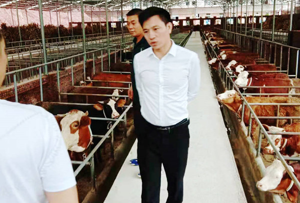农民工变身副镇长,宜宾叙州区选好用好“领头羊”(图2) 农民工变身副镇长,宜宾叙州区选好用好“领头羊”(图2)