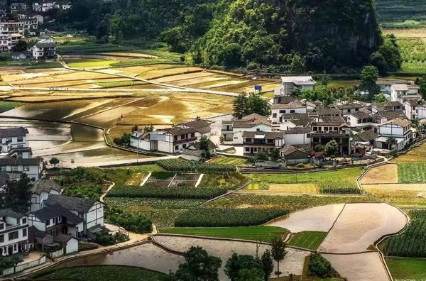 临渊读水:琥珀的月光(散文)(图4) 临渊读水:琥珀的月光(散文)(图4)